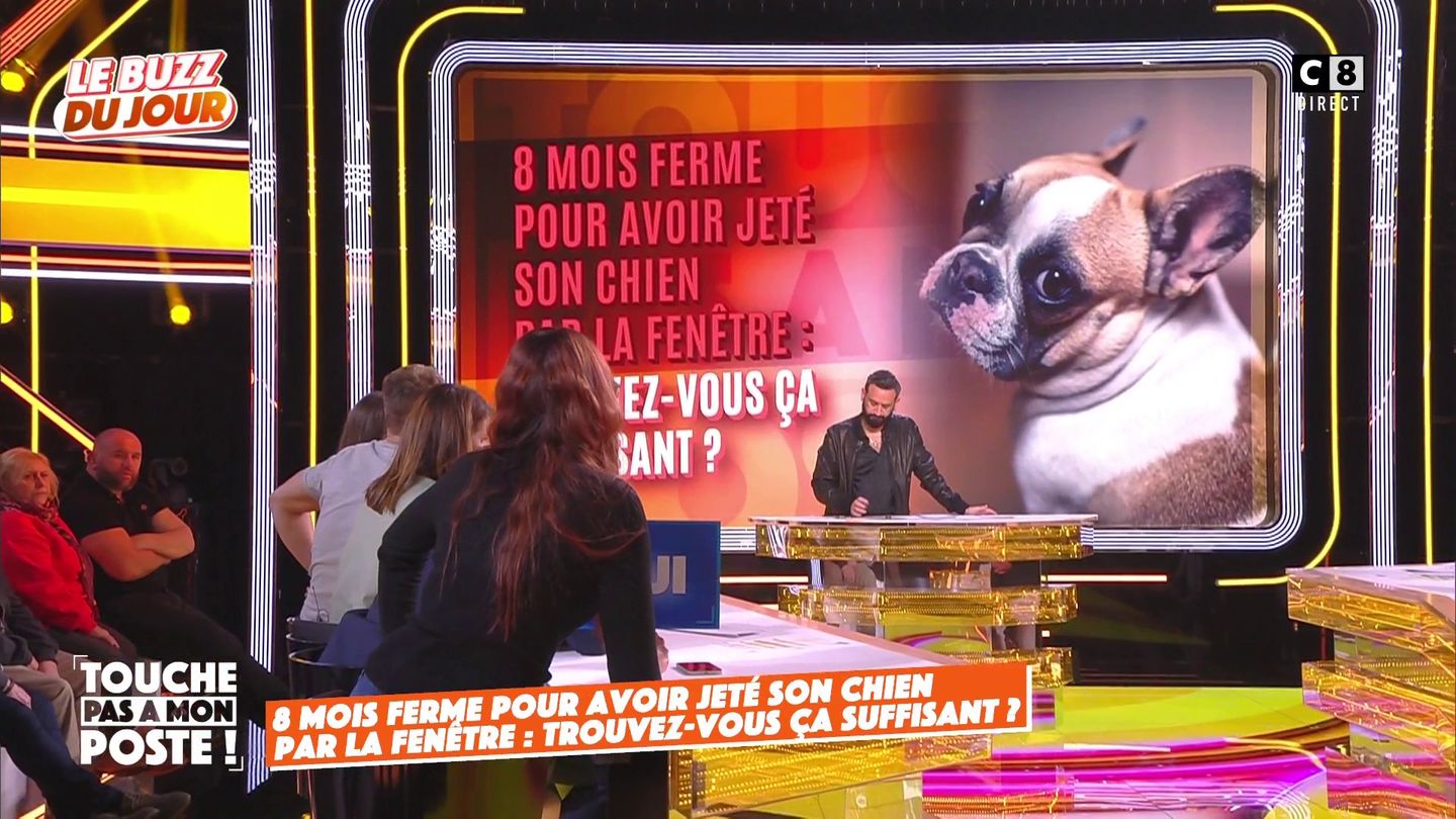 Il écope de 8 mois ferme pour avoir jeté son chien par la fenêtre !