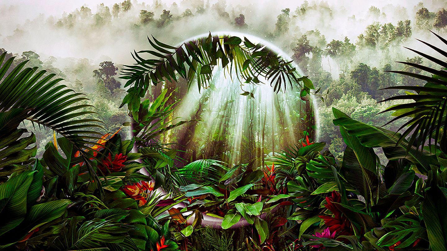 Les superpouvoirs des plantes