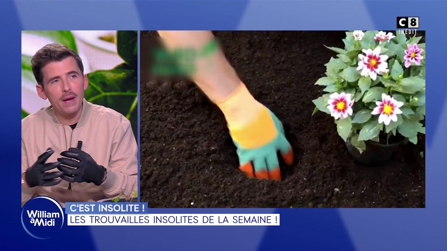 C'est insolite : Spécial jardinage !