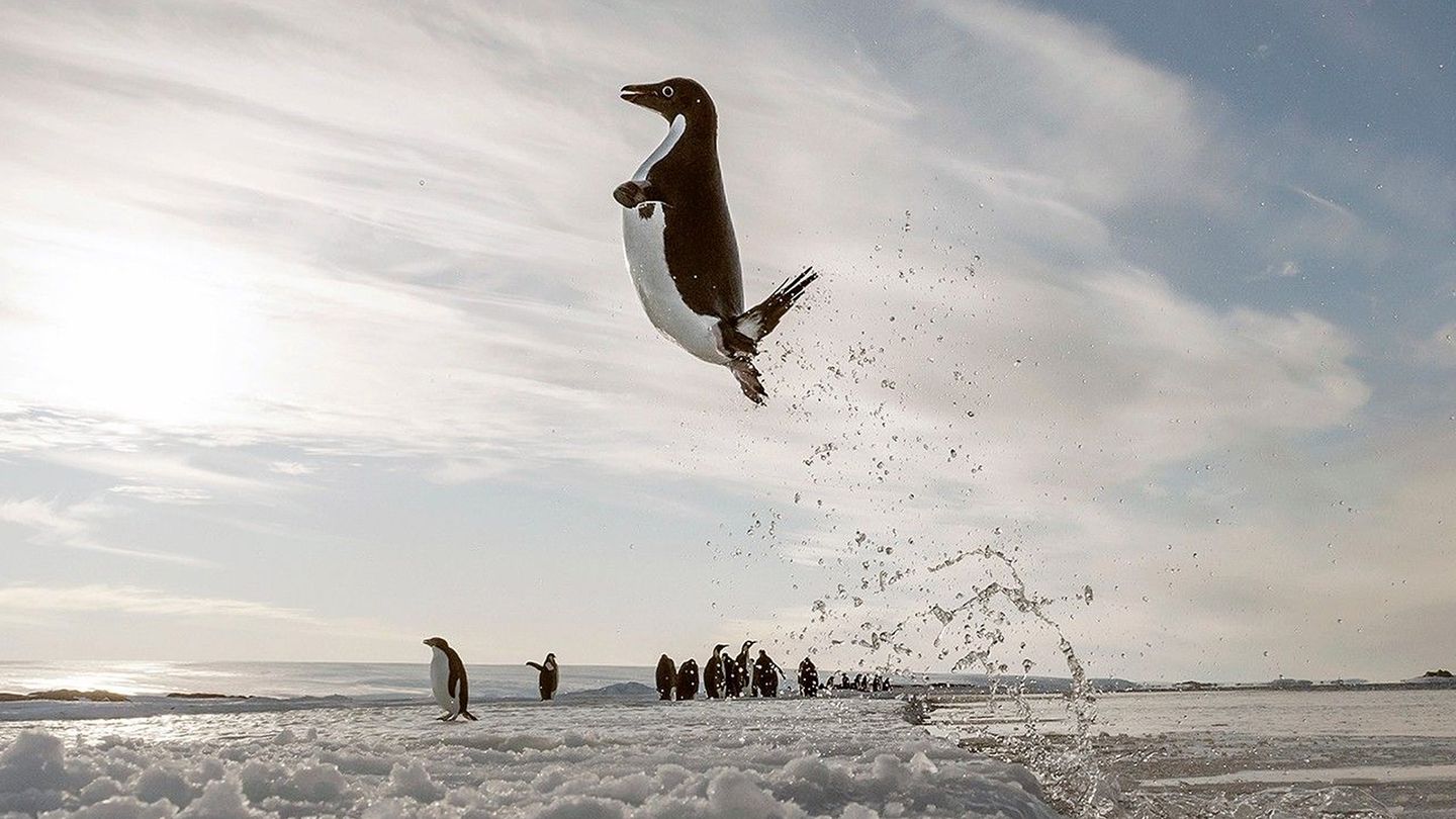 Antartica, prisonniers du froid