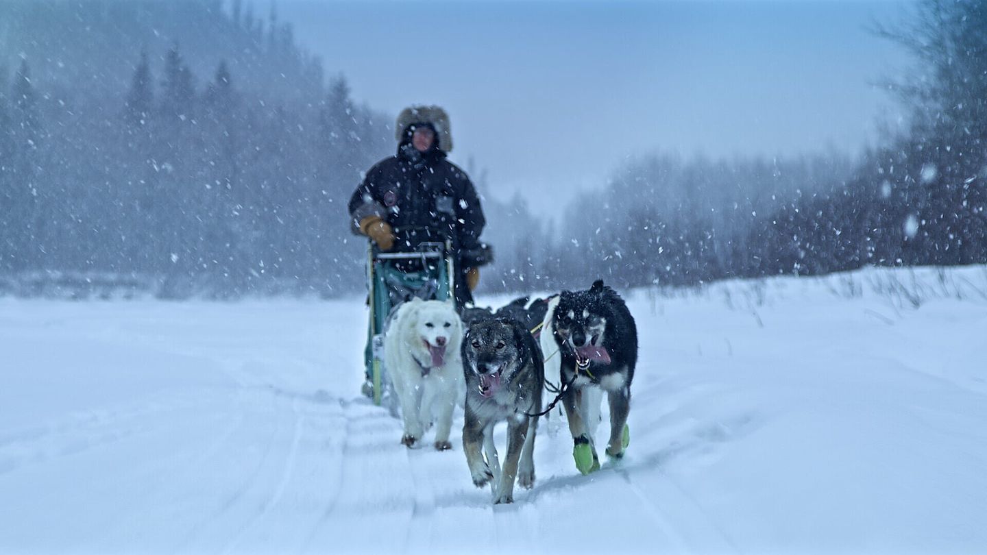 Le Yukon, fleuve glacé d'Amérique