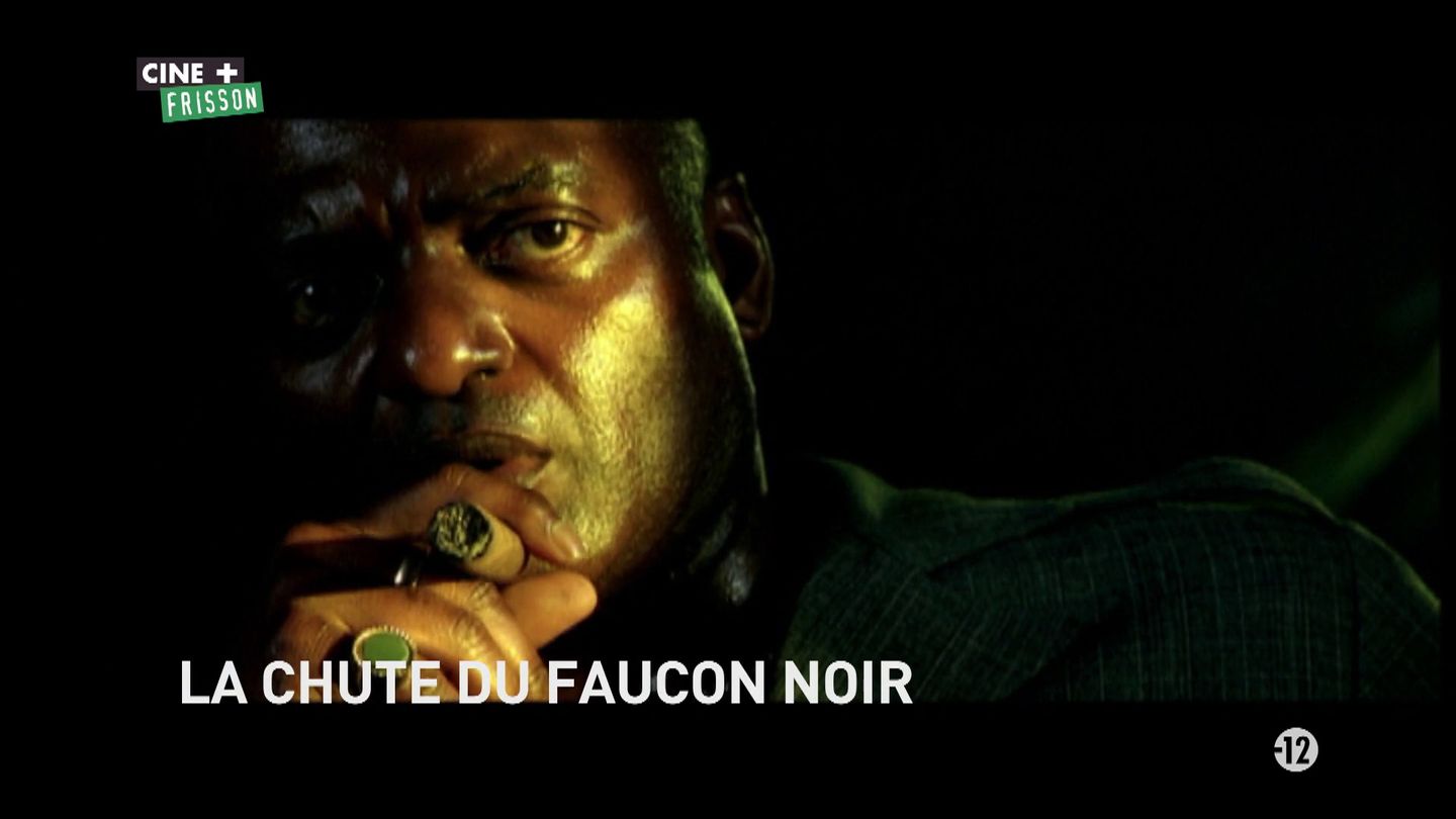 La chute du Faucon Noir