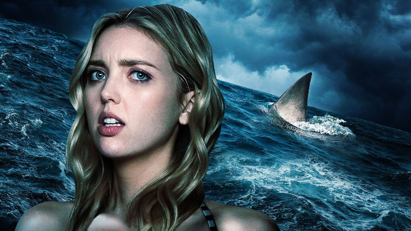 La saison des requins