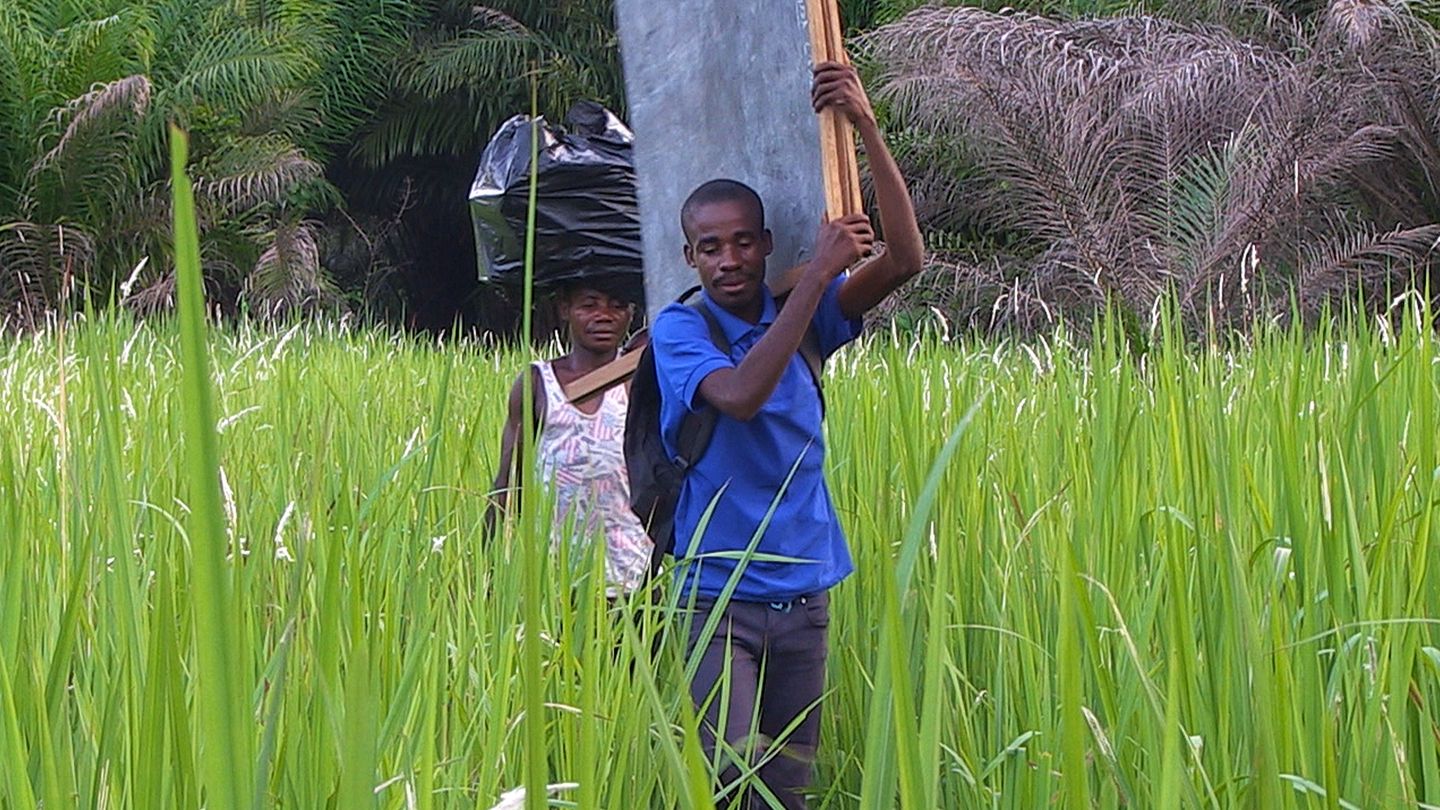 Makongo