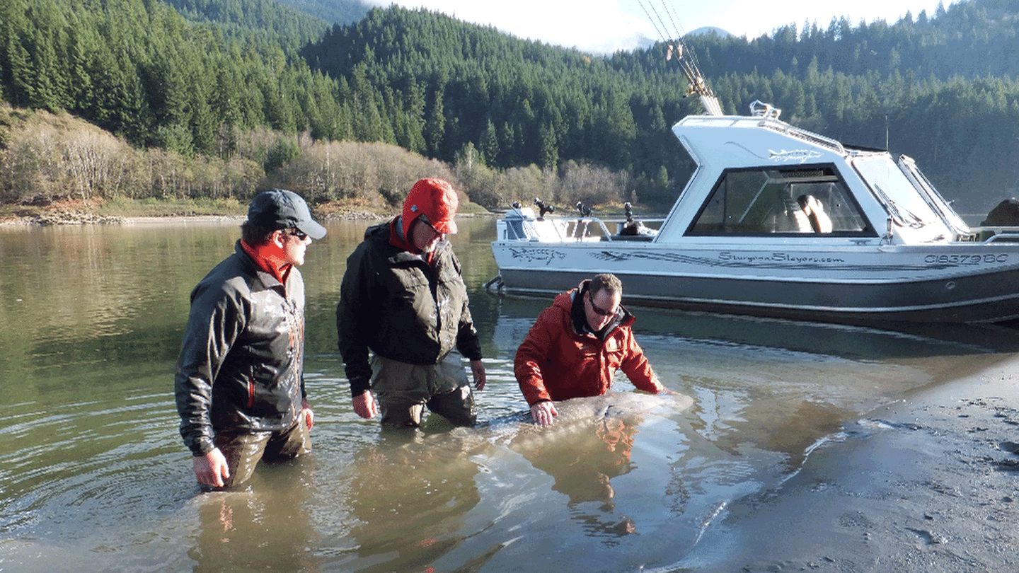 Les rois de la pêche