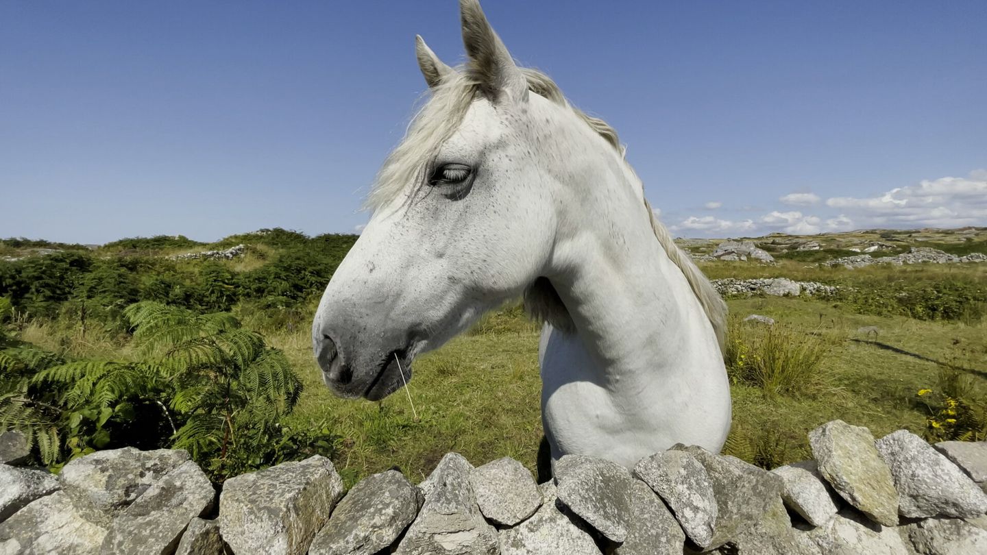 Irlande, une balade en terre celte