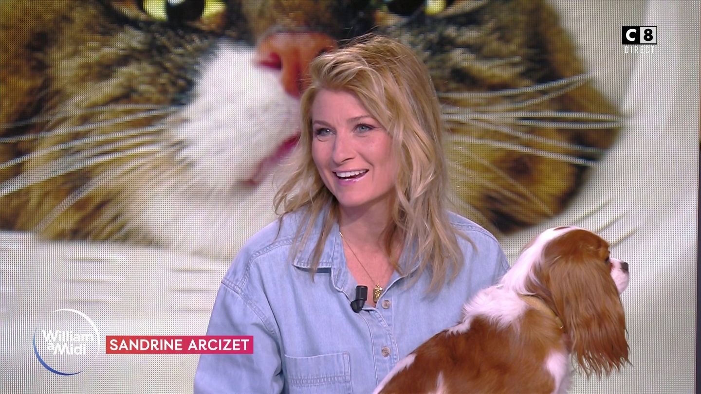 Vos animaux: Mon animal est malpropre: comment réagir?