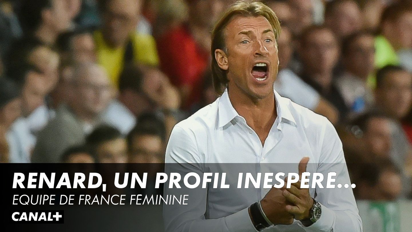 Résumé Et Casting Hervé Renard Un Profil Inespéré Equipe De France