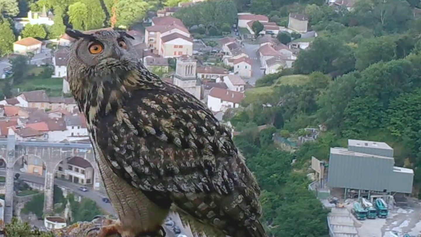 Des cailloux dans la chaussure