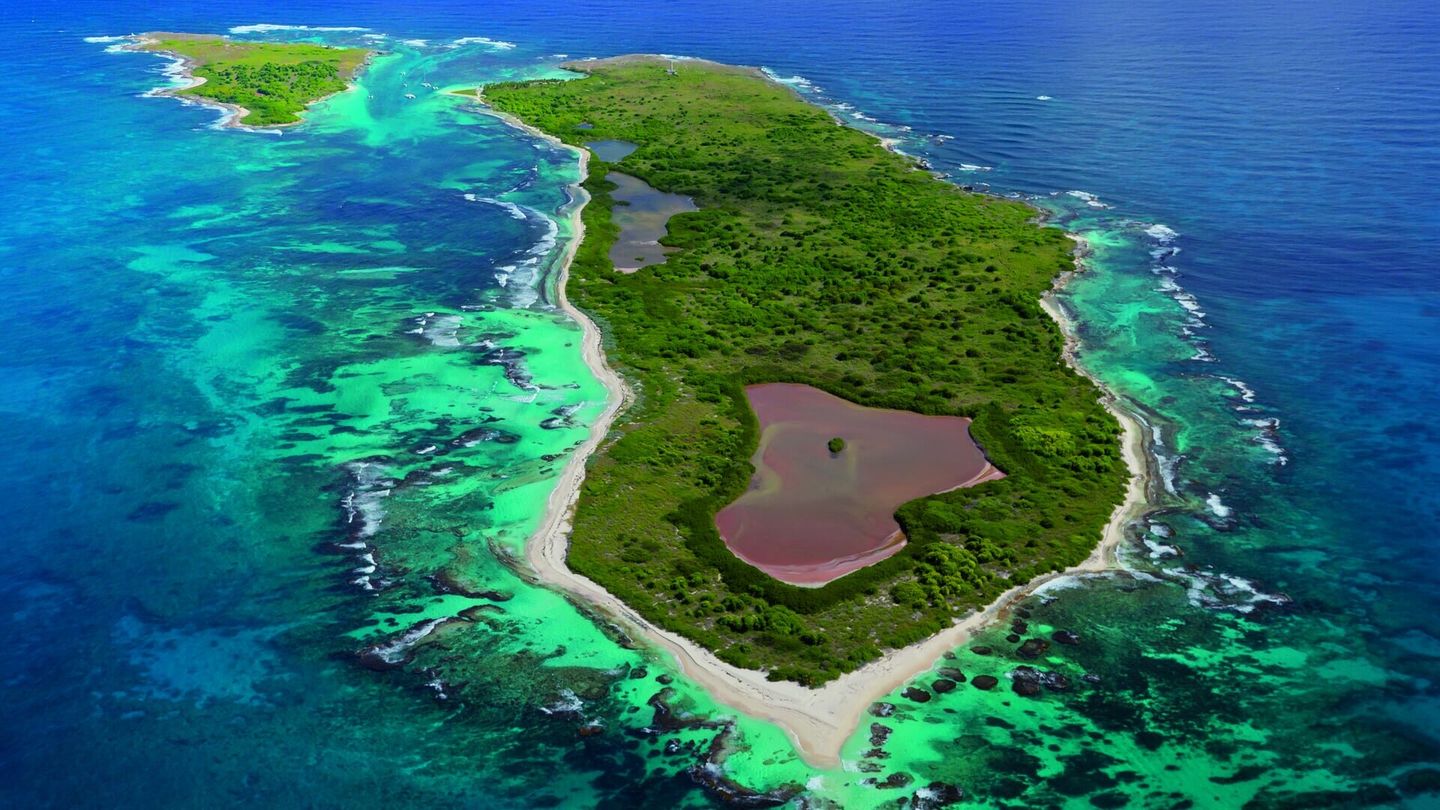 Caraïbes sauvages, les rivages de la biodiversité