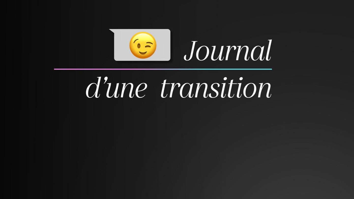 Journal d'une transition