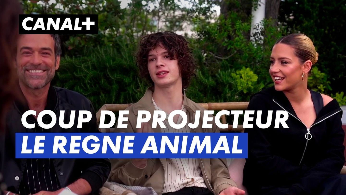 Coup de projecteur sur Le Règne animal