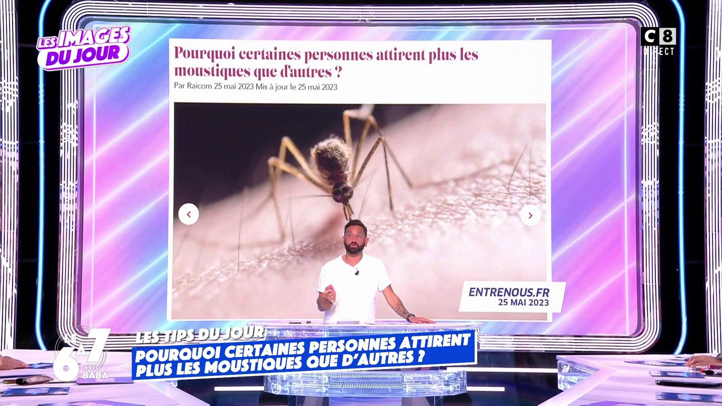 Le remède pour éviter les moustiques !