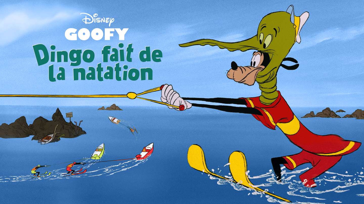 Dingo fait de la natation