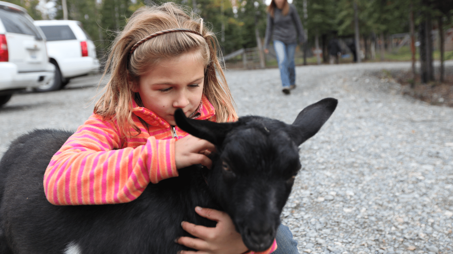 Michelle ou la vie sauvage