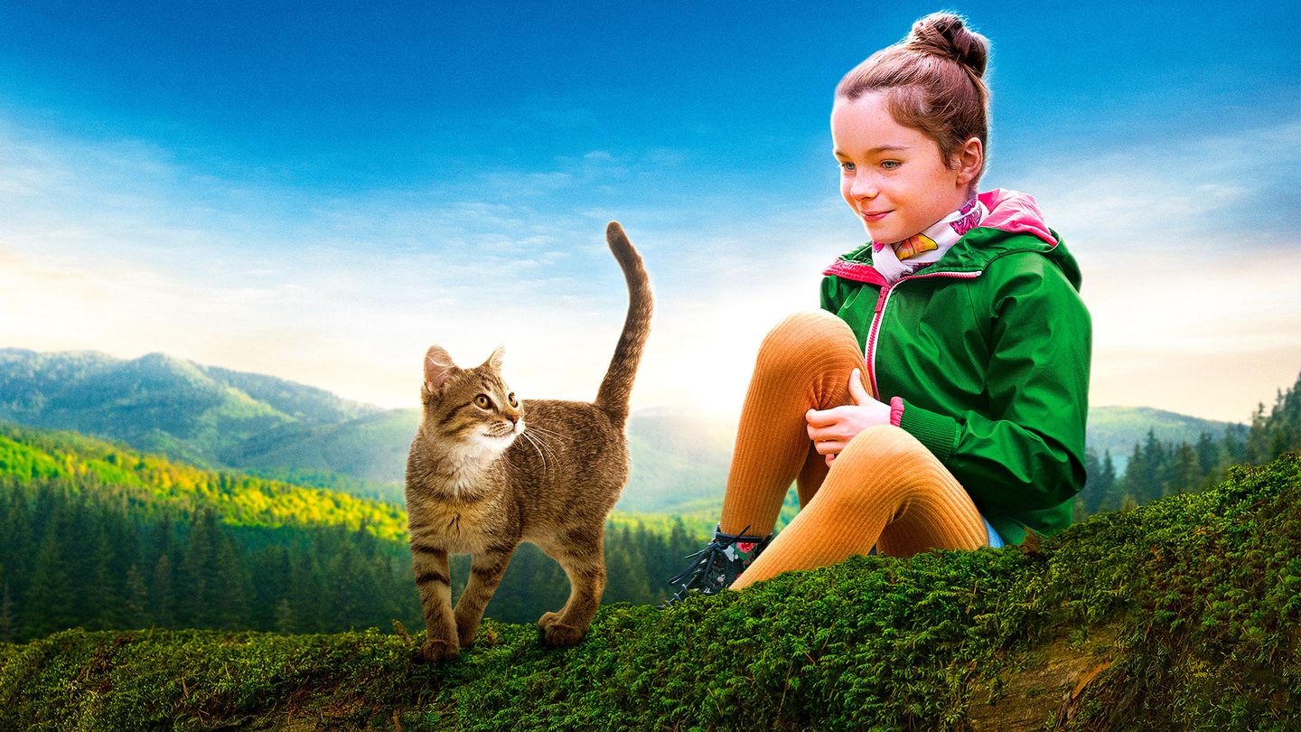 Mon chat et moi, la grande aventure de Rroû