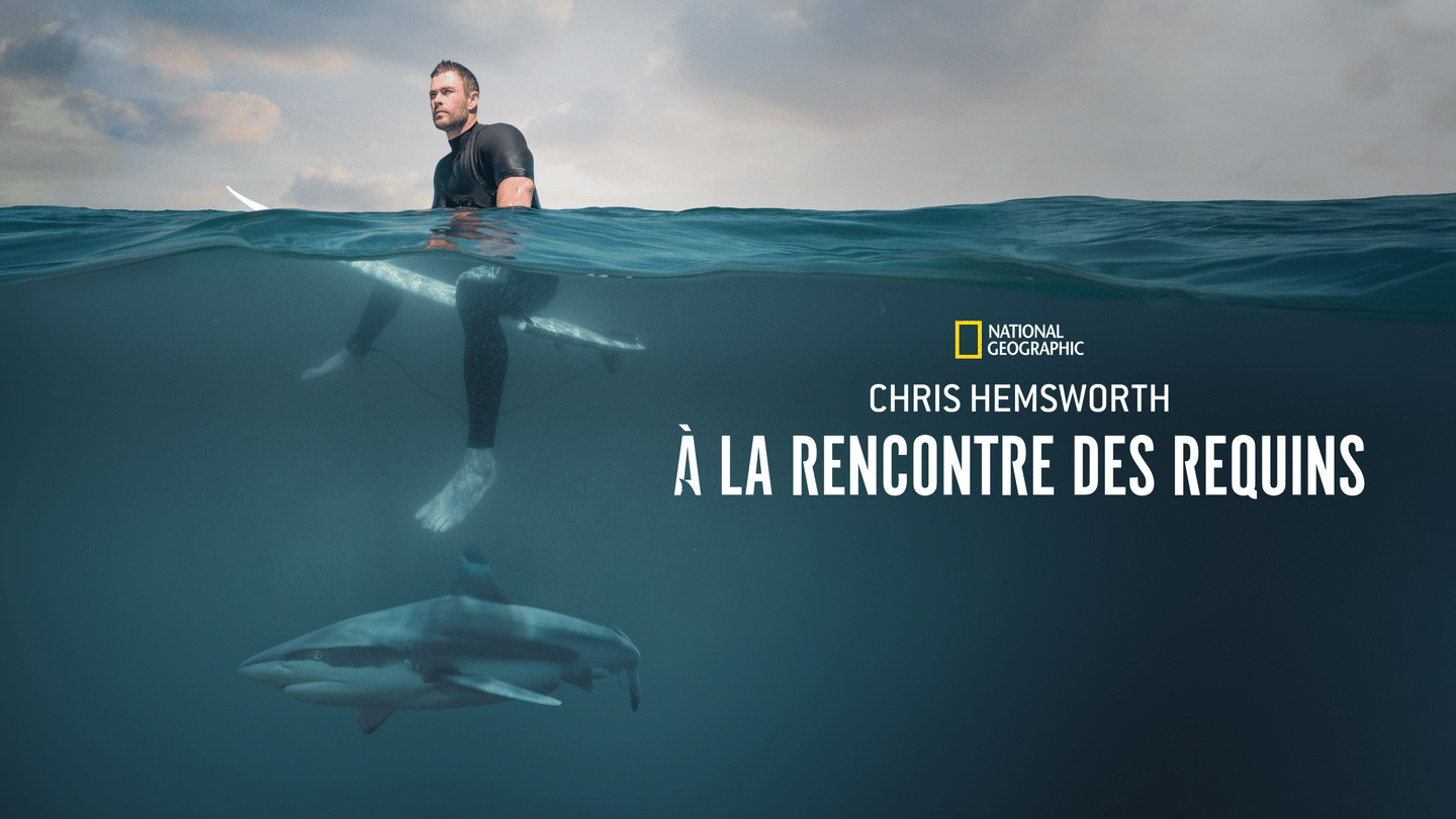 Chris Hemsworth à la rencontre des requins