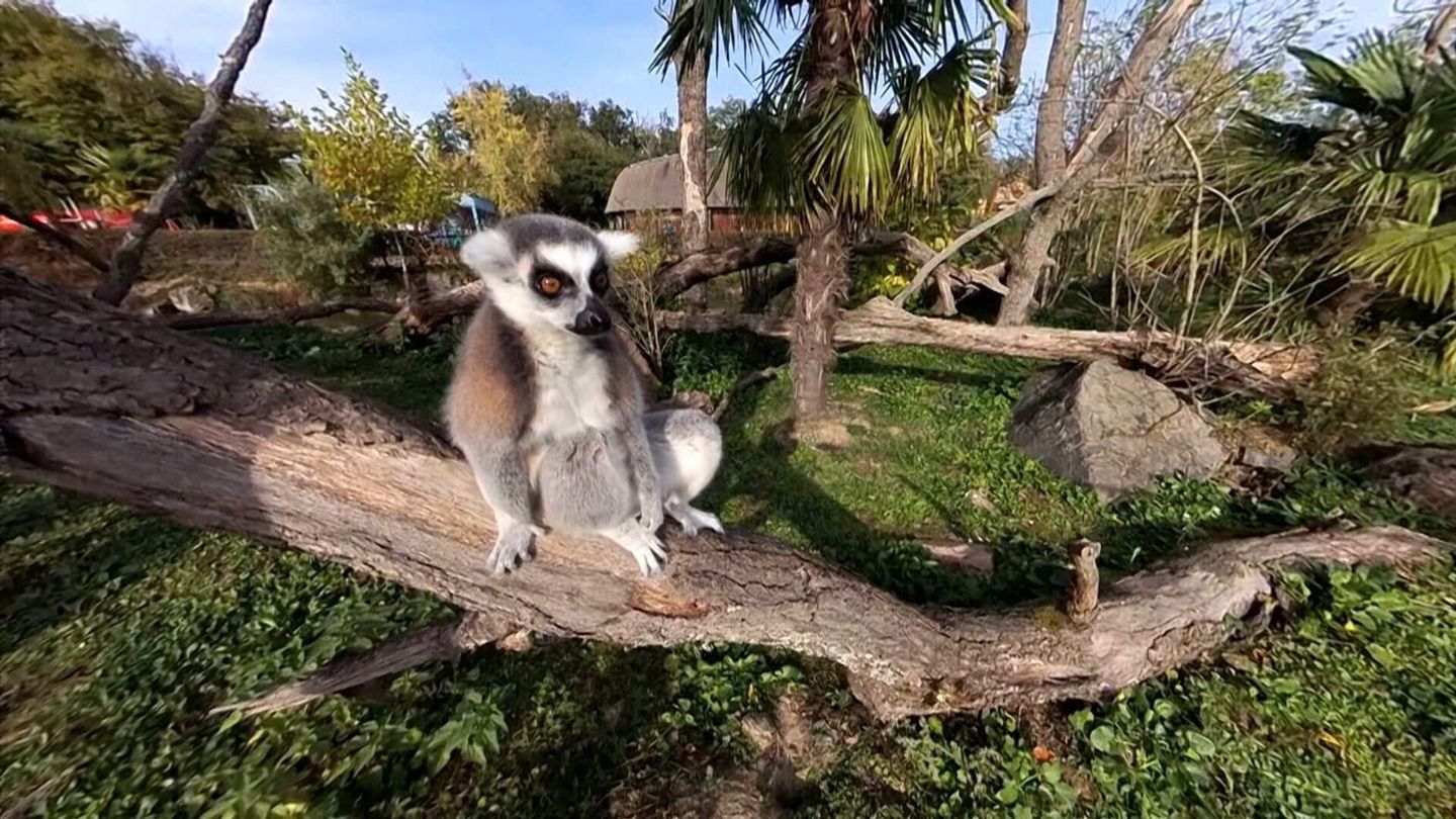 Le PAL en Auvergne : les recettes du succès, entre zoo et parc d'attractions