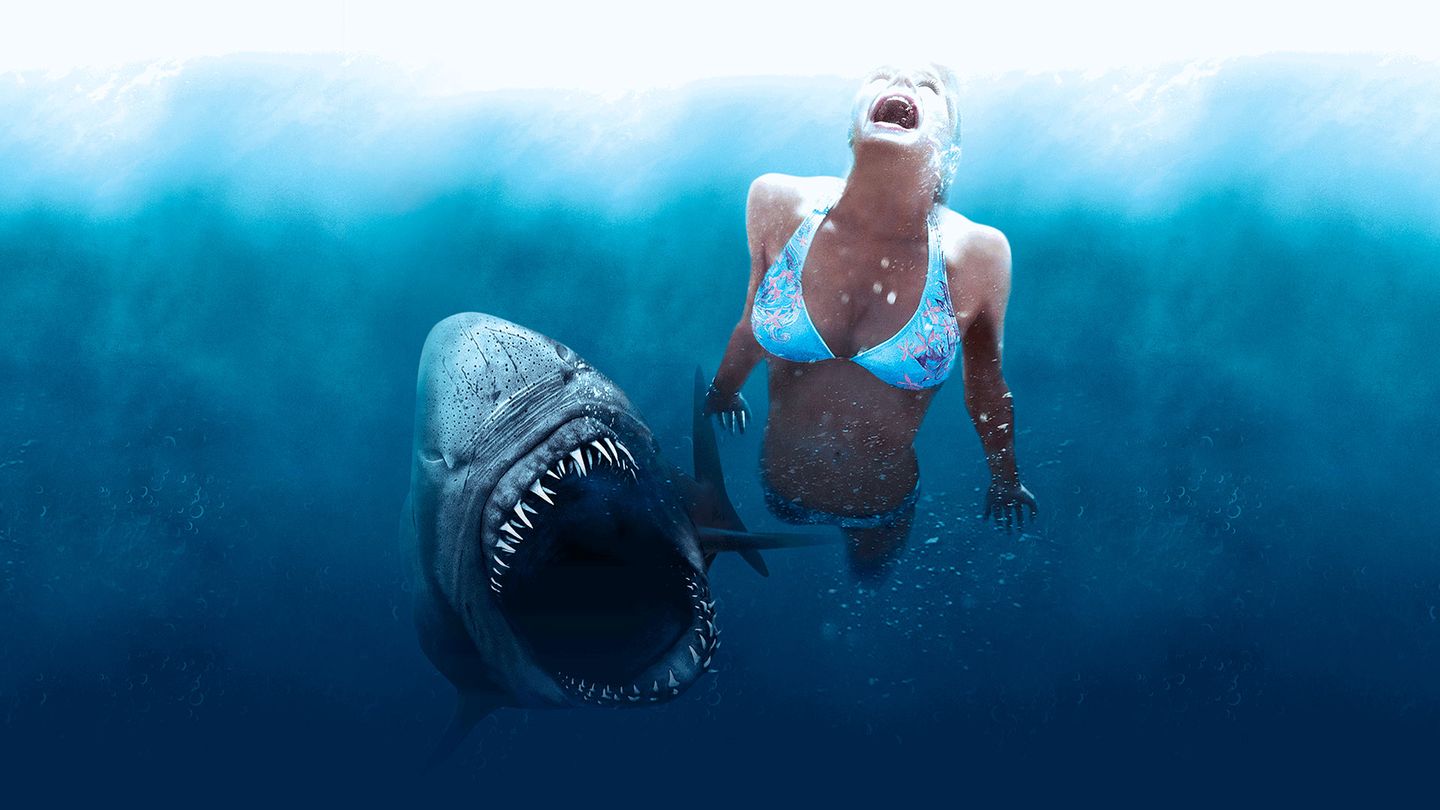 Shark 3D