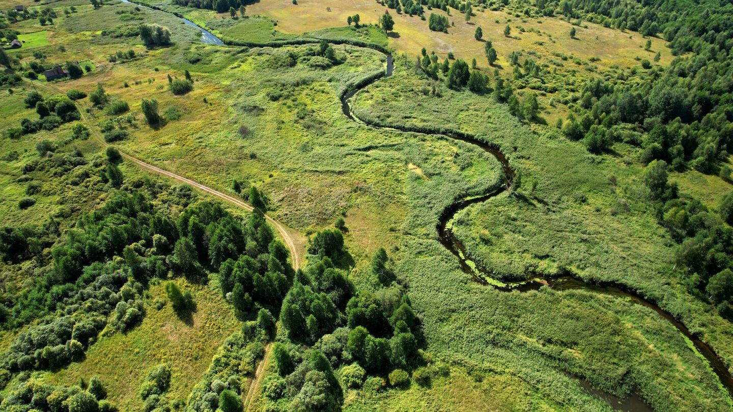 Au coeur de l'écosystème des Everglades