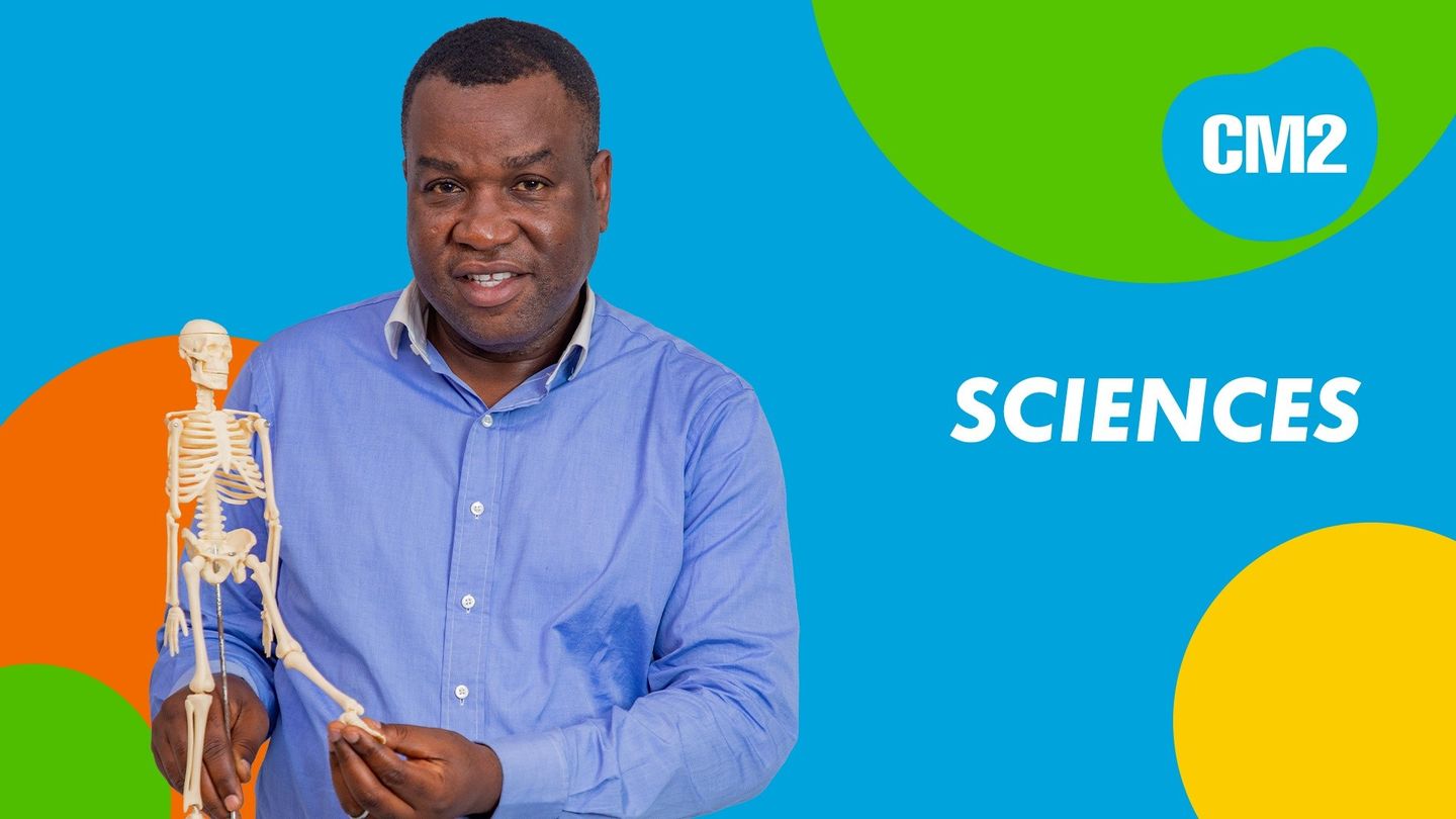 cours-de-cm2-sciences-en-streaming-direct-et-replay-sur-canal
