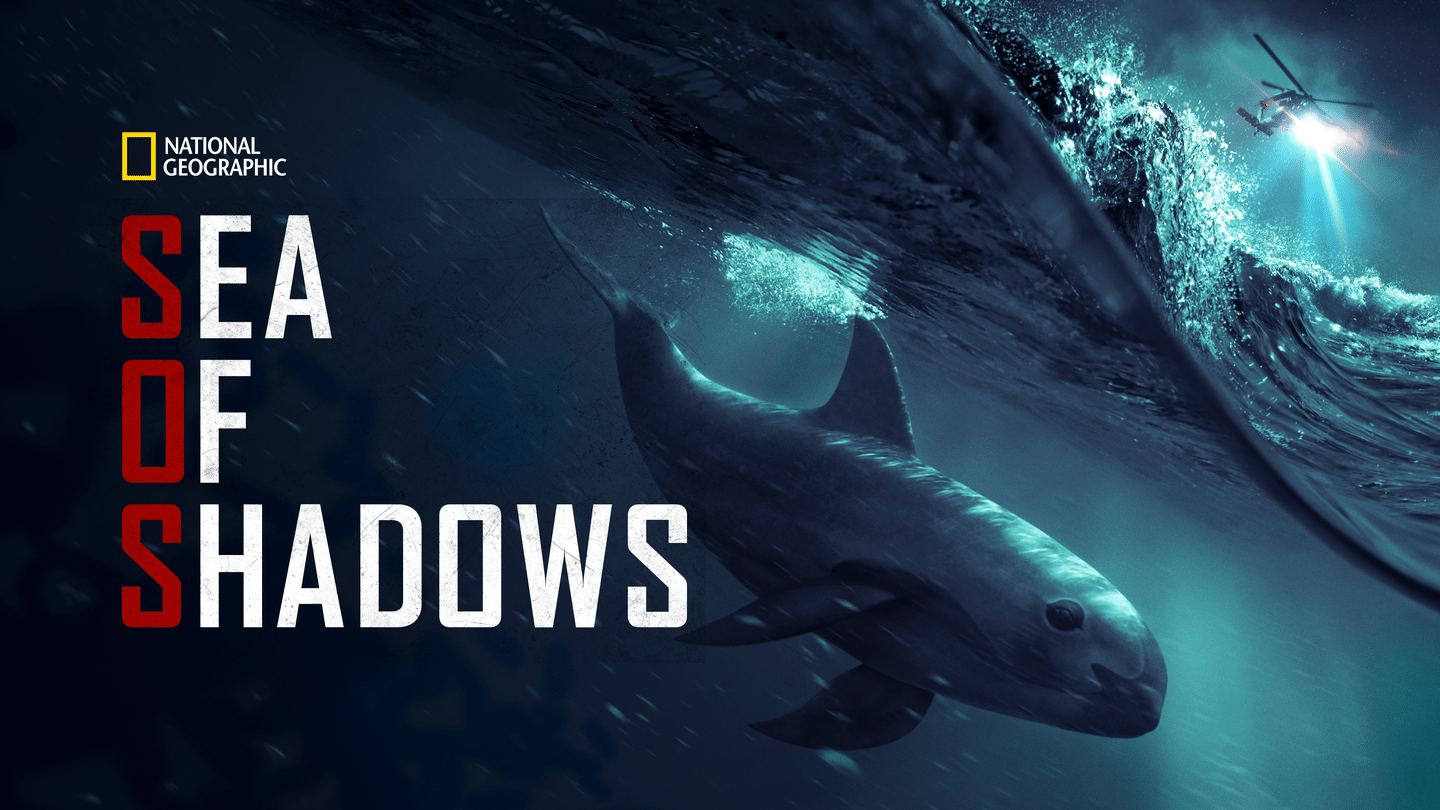 Sea of Shadows