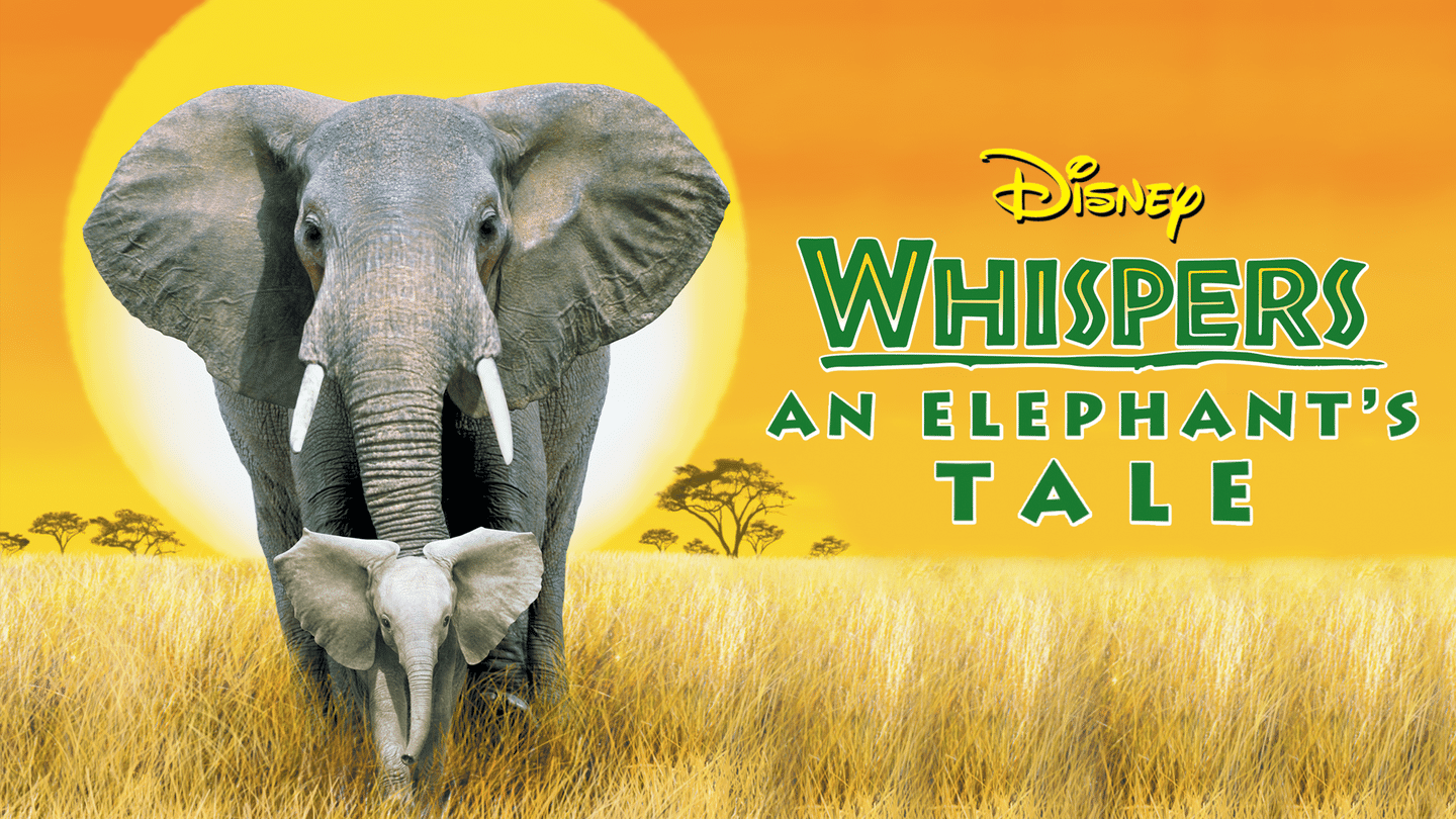 Whispers : An elephant's Tale