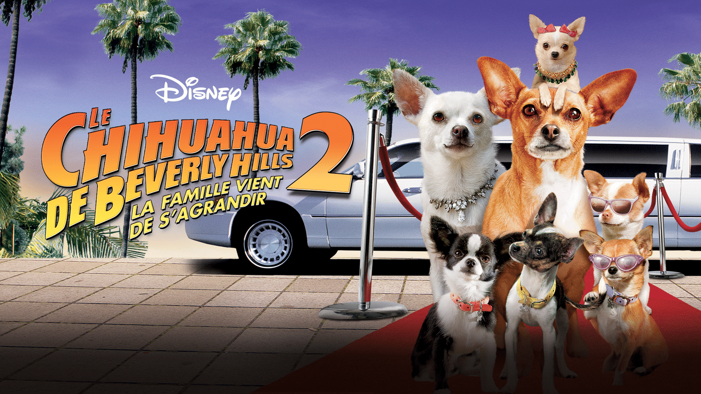 Le Chihuahua de Beverly Hills 2: La Famille Vient de S’Agrandir