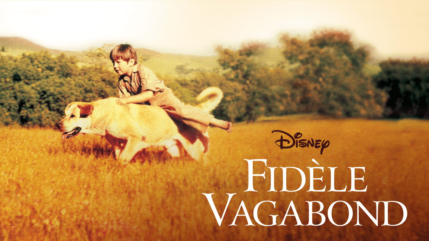 Fidèle vagabond