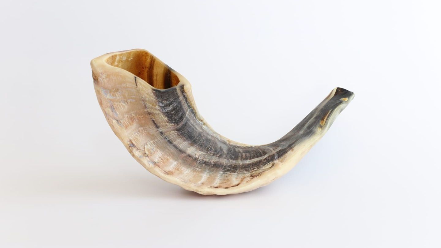 Meuh ! L'épopée des cornes