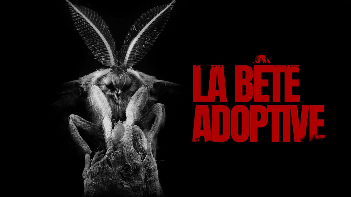 La bête adoptive