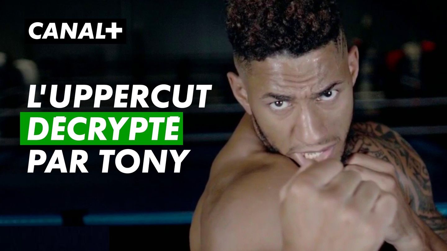 L’uppercut décrypté