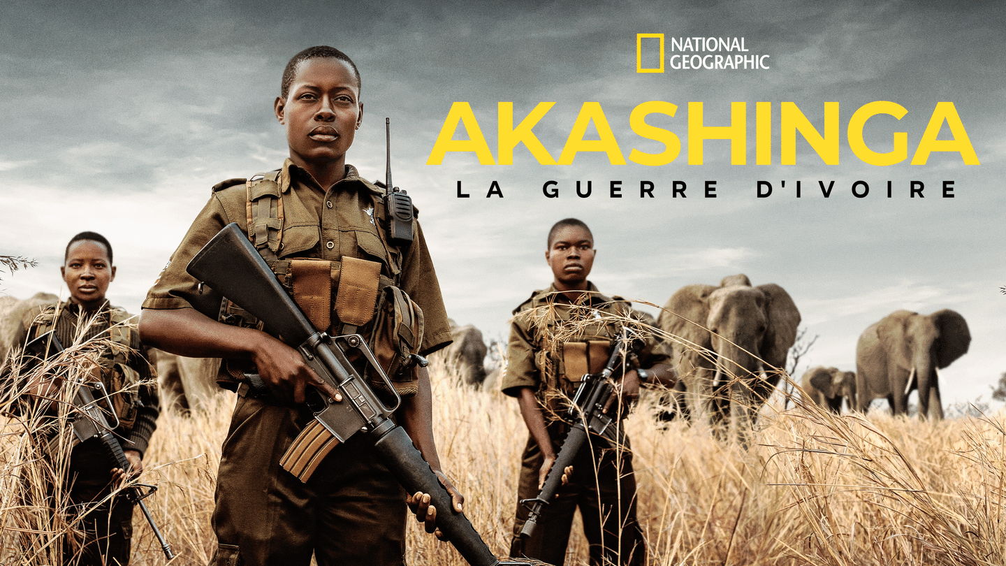 Akashinga : La guerre de l'ivoire