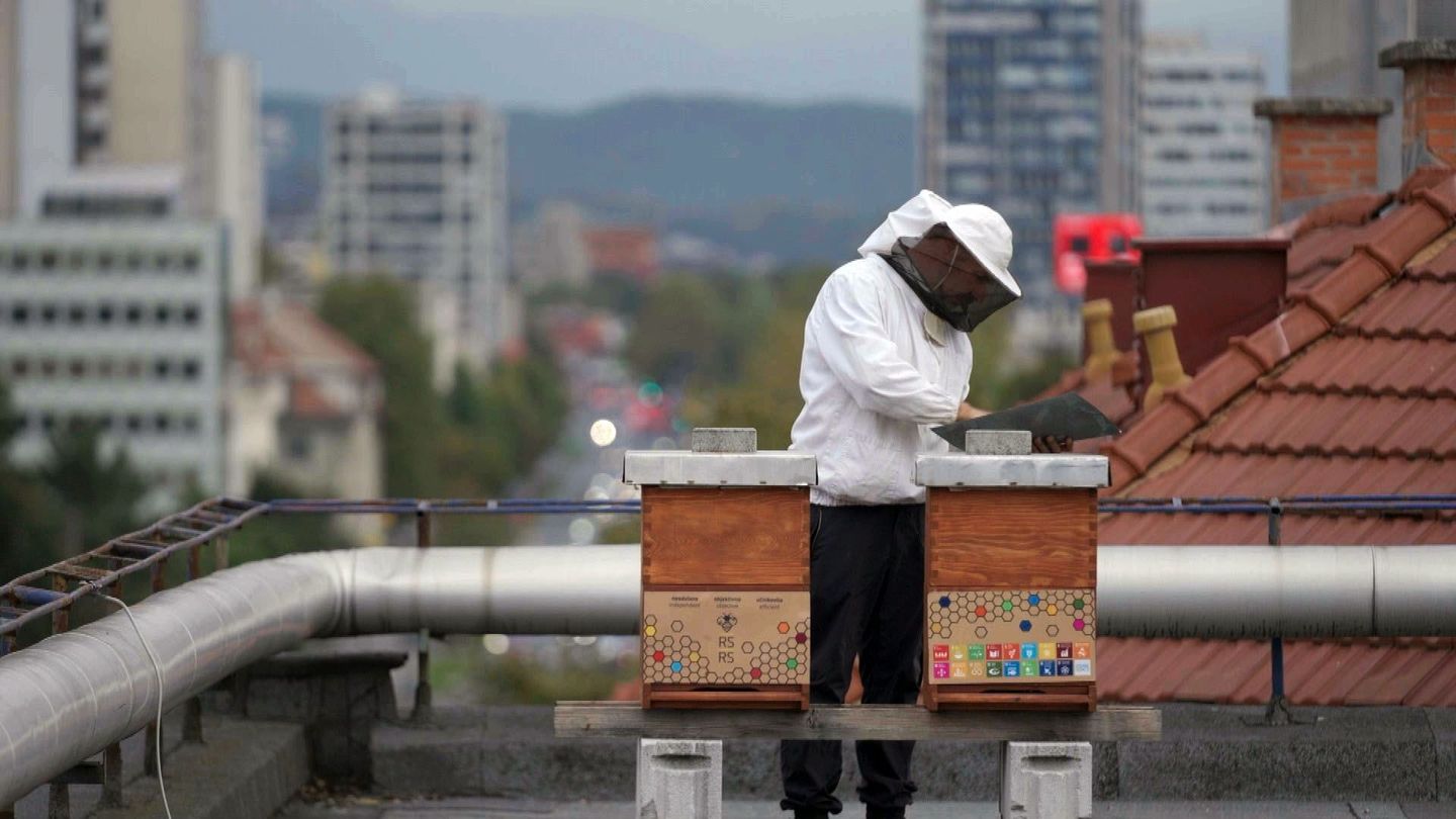 Slovénie : l'abeille, cause nationale !