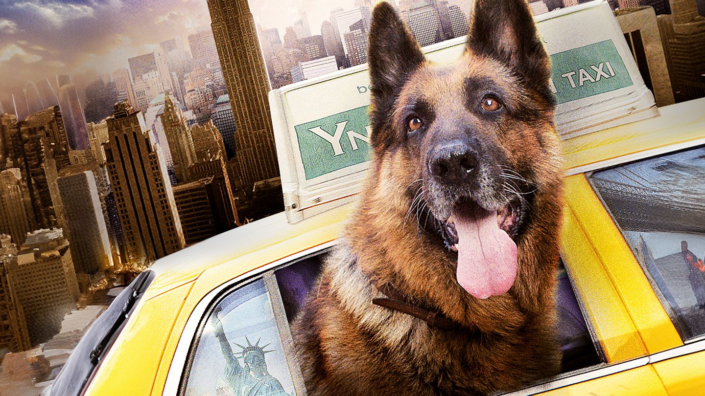 Rintintin à New York