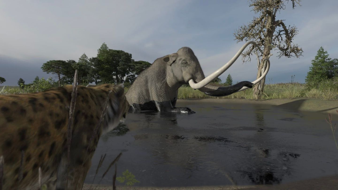 Le mystérieux tigre à dents de sabre