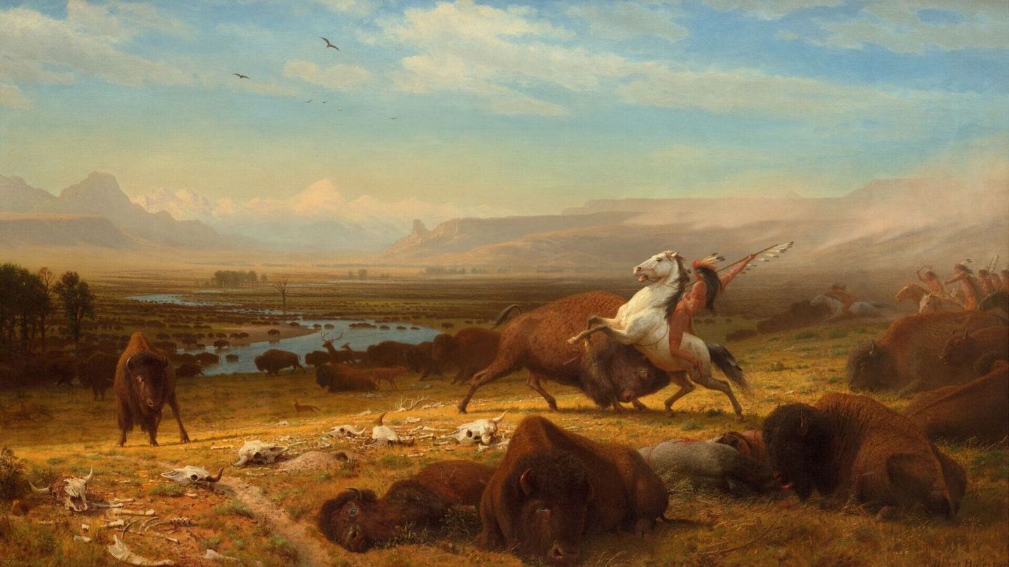 Bison : une histoire de l'Amérique