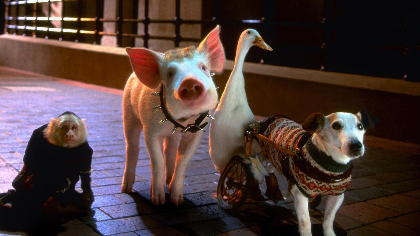 Babe, le cochon dans la ville - Trailer