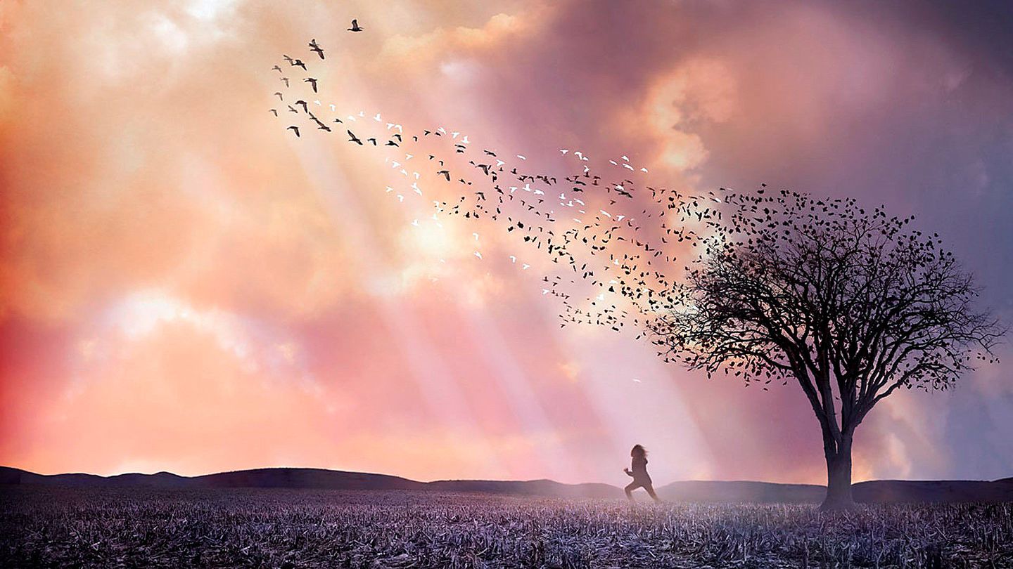 Lovely Bones - Trailer