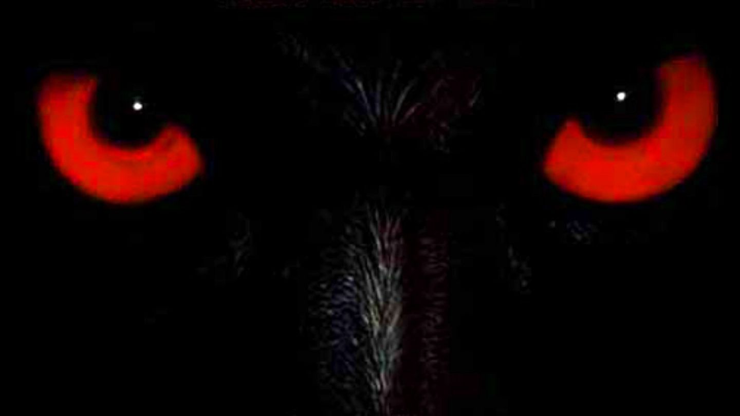Wolfen - Trailer