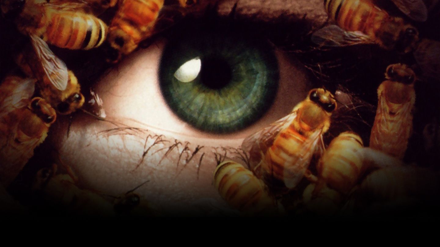 Candyman 3 : le jour des morts - Trailer