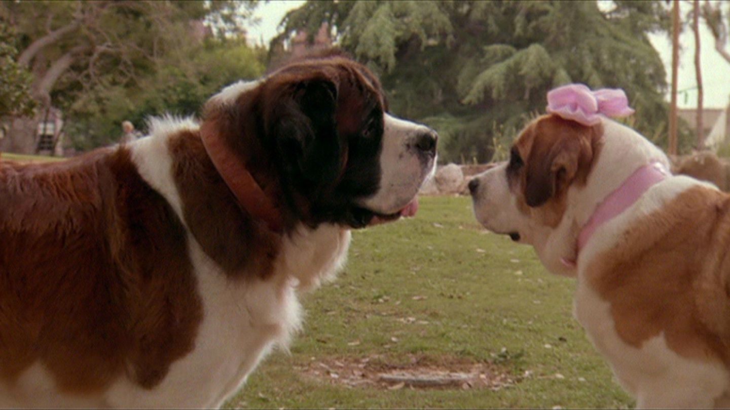 Beethoven 2 - Trailer