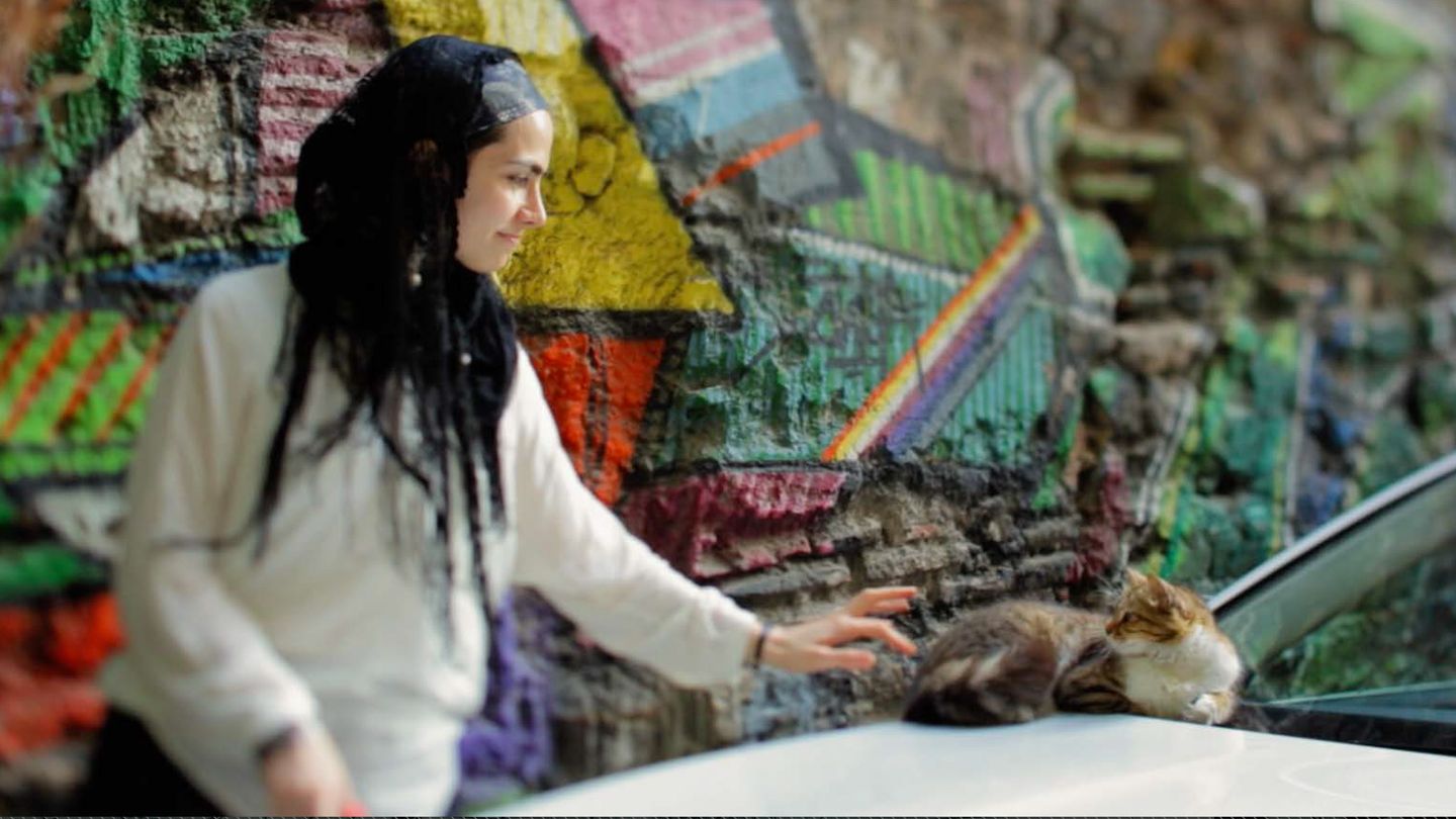 Kedi : des chats et des hommes - Trailer