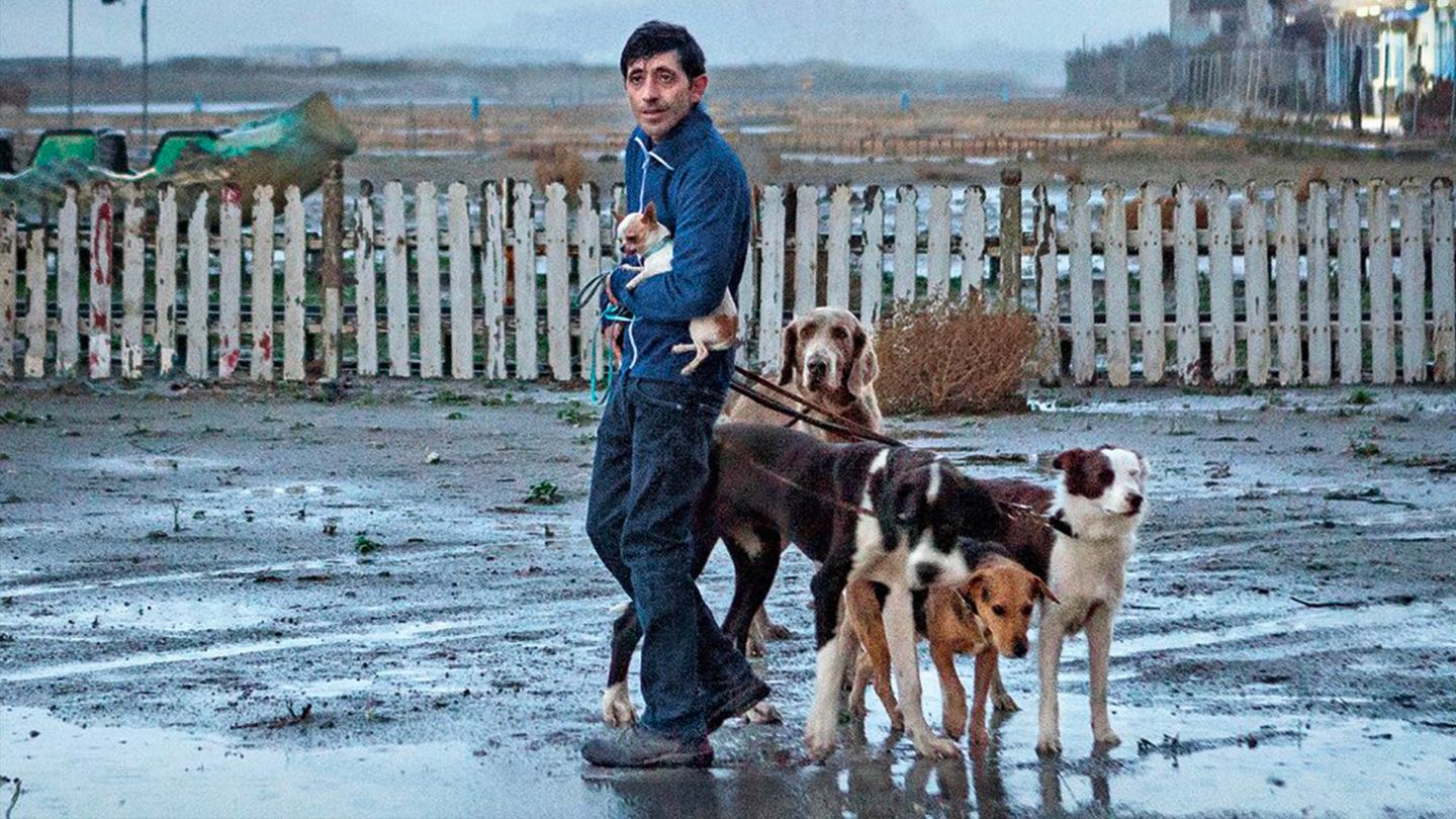 Dogman - Trailer