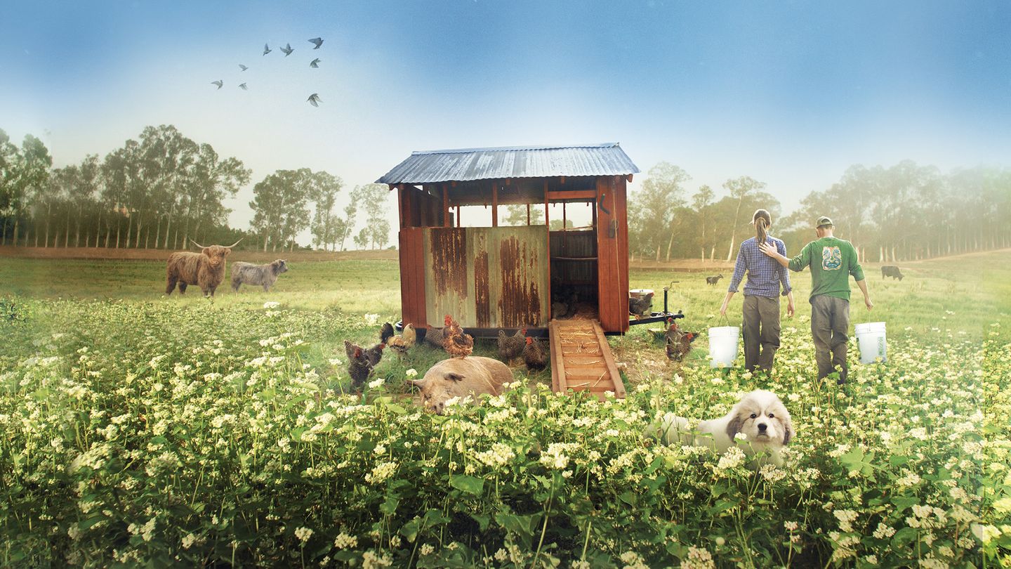 Tout est possible (The Biggest Little Farm) - Trailer