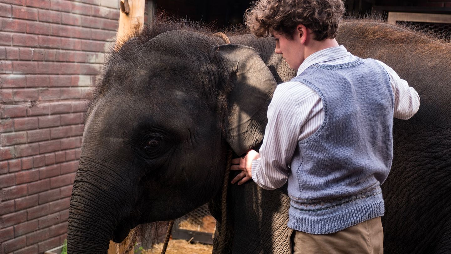 Le zoo : sauvez Buster l'éléphant ! - Trailer