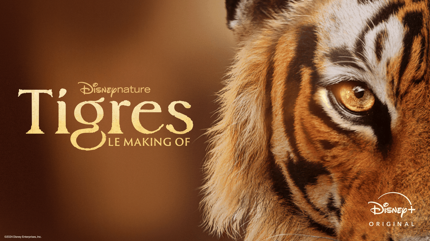 Tigres : le making of