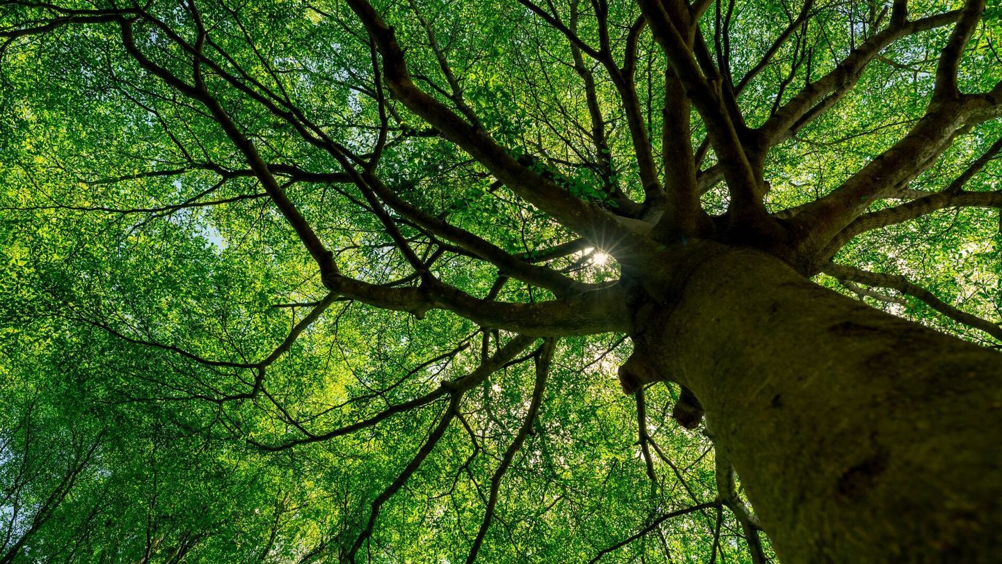 Bonnes nouvelles de la planète