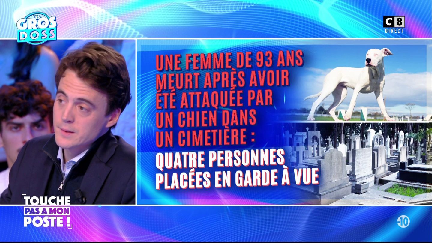 Une femme de 93 ans meurt après avoir été attaquée par un chien dans un  cimetière en streaming direct et replay sur CANAL+ | myCANAL  Nouvelle-Calédonie