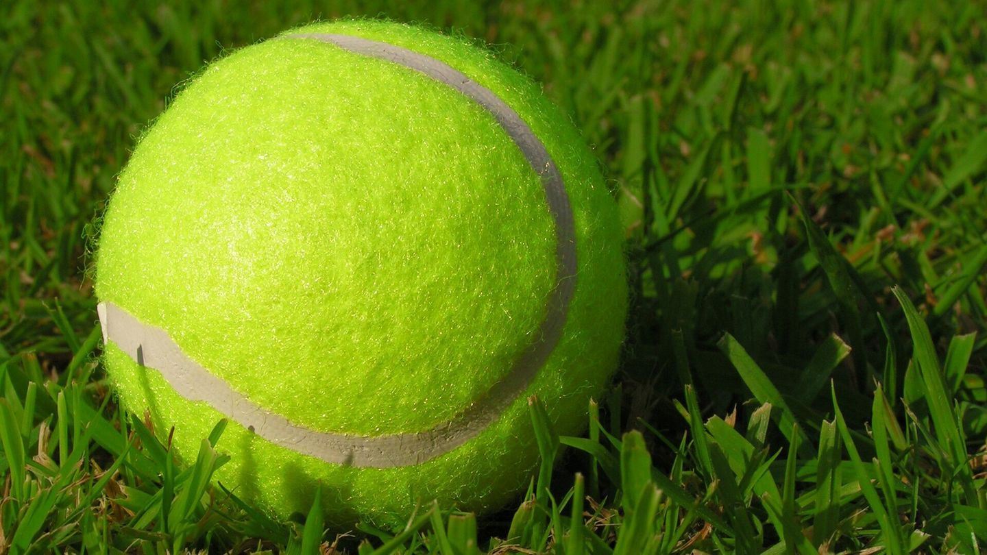Tennis : Wimbledon